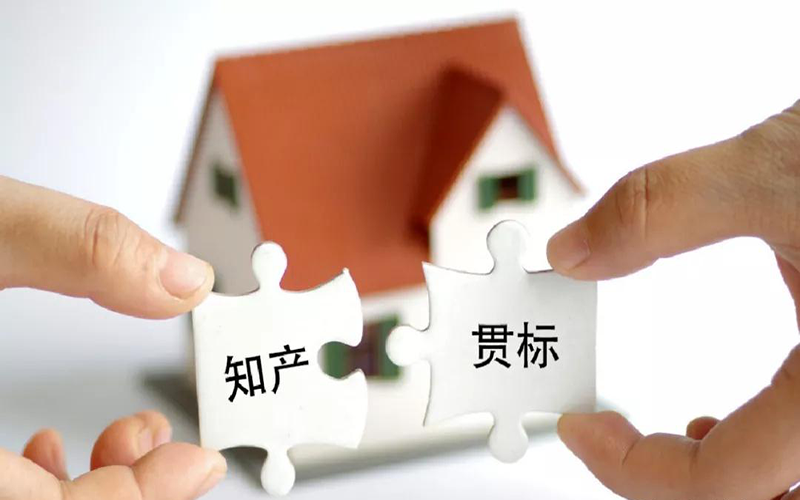 企业应该如何办理知识产权贯标